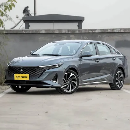 2023 Raeton Plus 1.5T DCT Flagship Model
