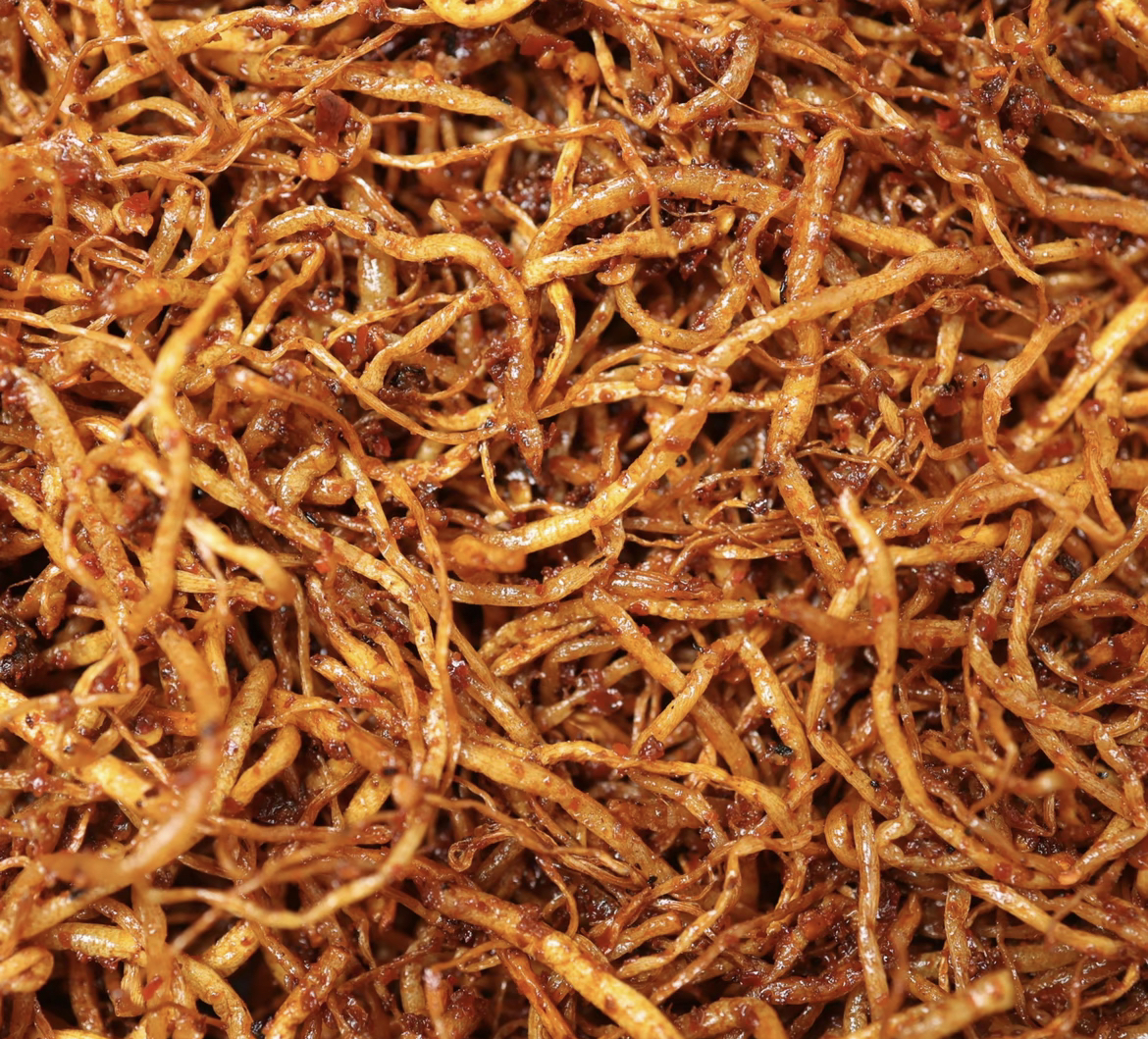 allium hookeri root