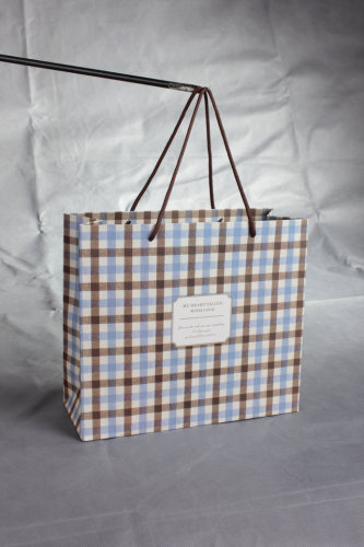 Paper Shopping Bags (J-082)