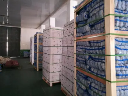 Fresh Solo Garlic Basket