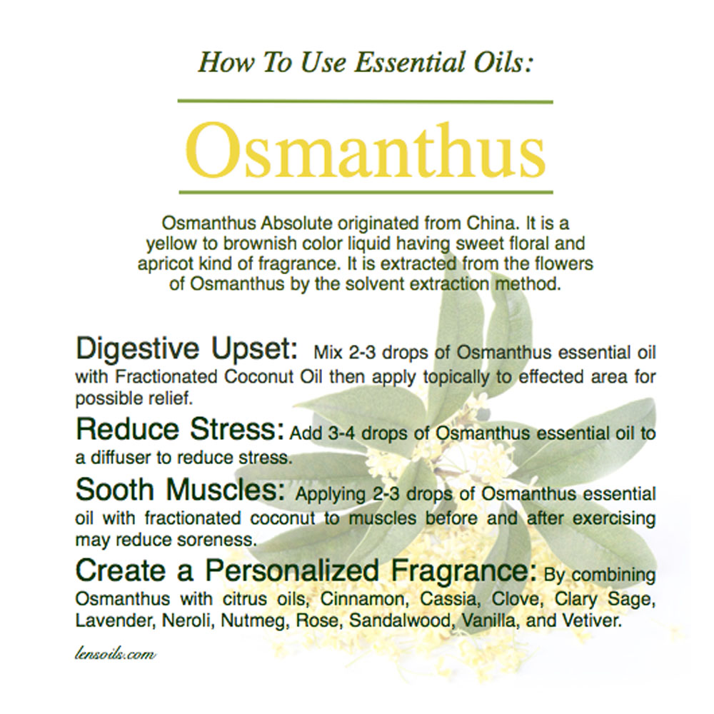 Óleo essencial de Osmanthus 100% de alta qualidade para perfume