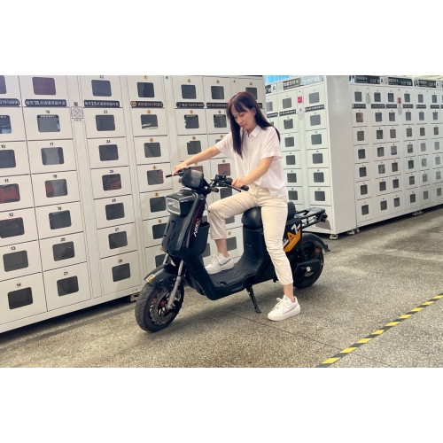 14inch 2-wheel fat tire Delivery Electric Bikes