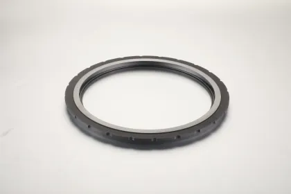 Mechanical Graphite Seals for Industrial Dry Gas Seal