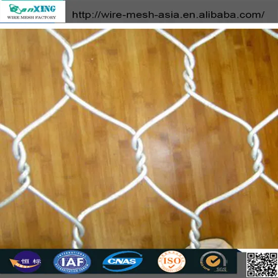 Hexgonal wire mesh