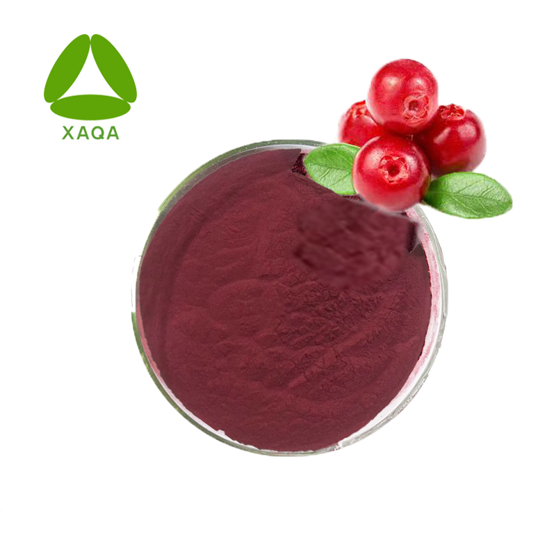 Uv Protection Proanthocyanidins 60% Powder Cranberry Extract