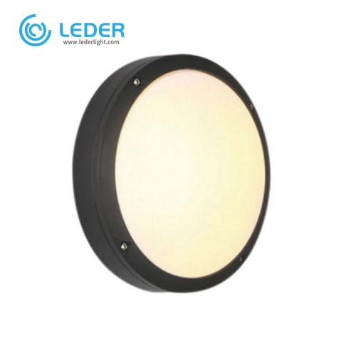 LEDER Warm White Dimmable 12W Outdoor Wall Light