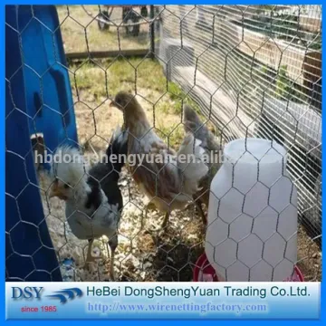 welding the stone cage nets/Hexagonal Wire Mesh/Bird Aviaries (Anping factory)