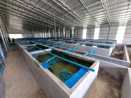Ras Shrimp Farming Equipment: Recirculating Aquaculture Systems