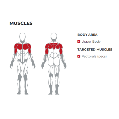Olympic Chest Flat Bench