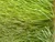 colorful hybrid grass for sports field