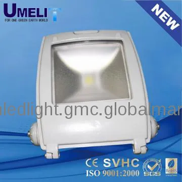 led yard flood light