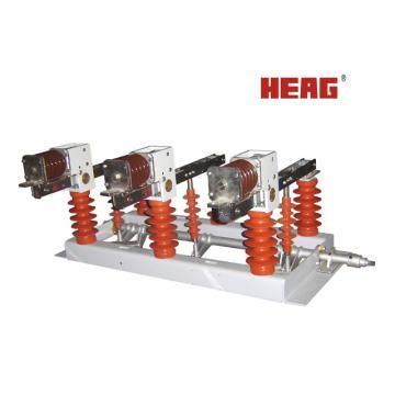 FZW32-12/24/40.5 Outdoor HV Vacuum Disconnect Load Break Switch