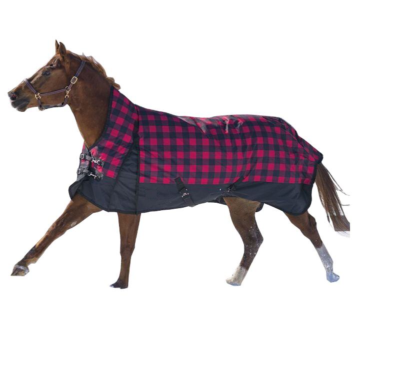 Turnout Rug 2 Jpg