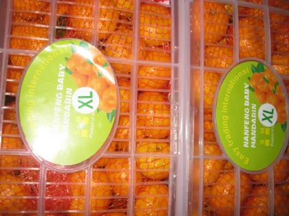 Sweet Nanfeng Baby mandarin