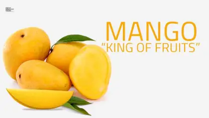 100% Pure Spray Dried mango juice powder