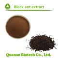 Black Ant Extract Powder Polyrhachis Vicina Roger Extract