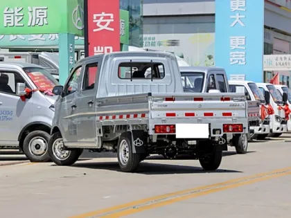 Changan Shenqi T30 Mini Farm Truck: 1.6L Engine, 2/4 Door Utility Vehicle