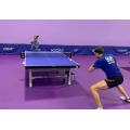 Professionele tafel tennis PVC vloer ITTF goedgekeurde indoor tt mat