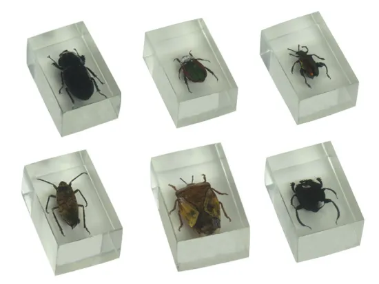 premium montessori materials toys,science materials