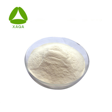 Quinoa Extract Powder Protein 80%-90%