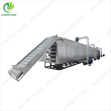Vegetable mesh belt dryer