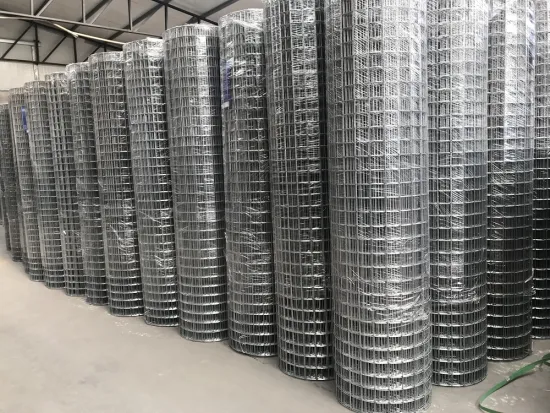 Stainless Steel Galvanized Welded Wire Mesh Garden Fence