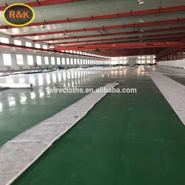popular polyester single layer forming fabric/screen