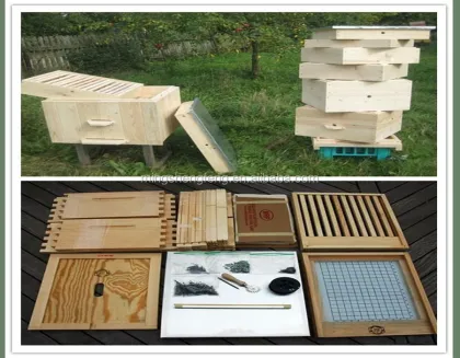 Wooden Beehive Australia Honey Bee Hive/Honey Bee Box For Beekeeping equipment