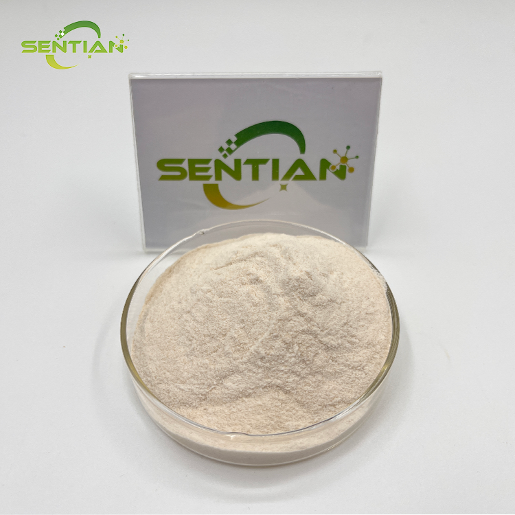 High-Quality Watermelon Seed Protein Extracts