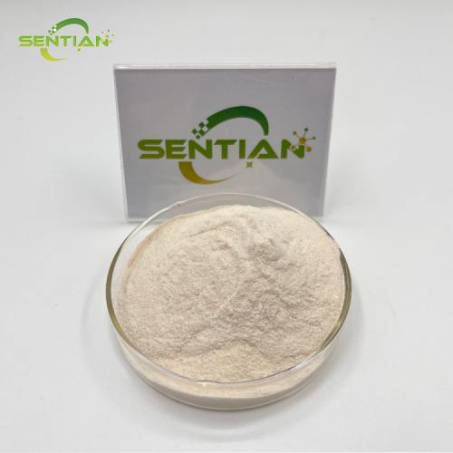 High-Quality Watermelon Seed Protein Extracts