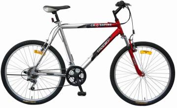 26"x22"  MTB BIKE