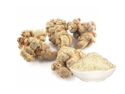 Panax notoginseng total saponins
