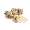Panax notoginseng total saponins