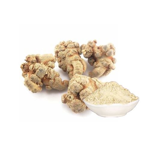 Panax notoginseng total saponins