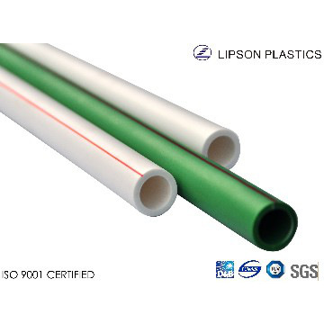 PPR Plastic Pipe