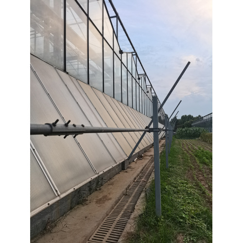 Agricultural Ecological Park Greenhouse
