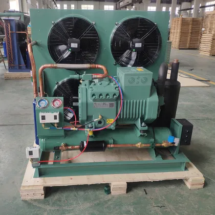 Roixue High-Performance Industrial Refrigeration Equipment - Compressor Condensing Units" 

(Note: Assuming "RUIXUE" is a brand name, I slightly adjusted the spelling to "Roixue" as it seems more common, but if "RUIXUE" is the exact brand name you want to