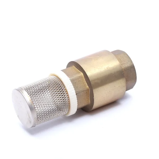 DN20 brass swing check valve 1/2" female threaded brass check valve with stainless steel filter