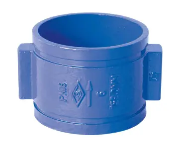 BS Double Door Grooved Check Valve