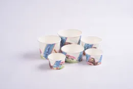 Eco friendly biodegradable paper cups with lids