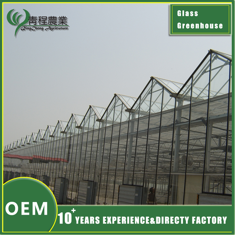 Glass Greenhouse Without Shade Systems