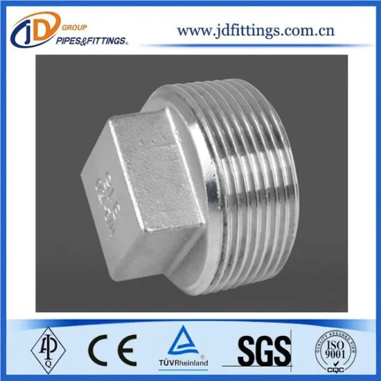 Stainless Steel Pipe Plug Square Head
