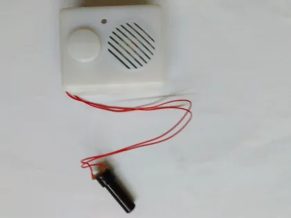 Motion Sensor Recorder Motion Sensor Talking Box