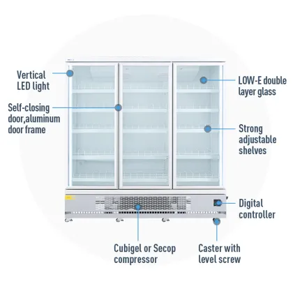 Vertical double glass door display cooler refrigerator