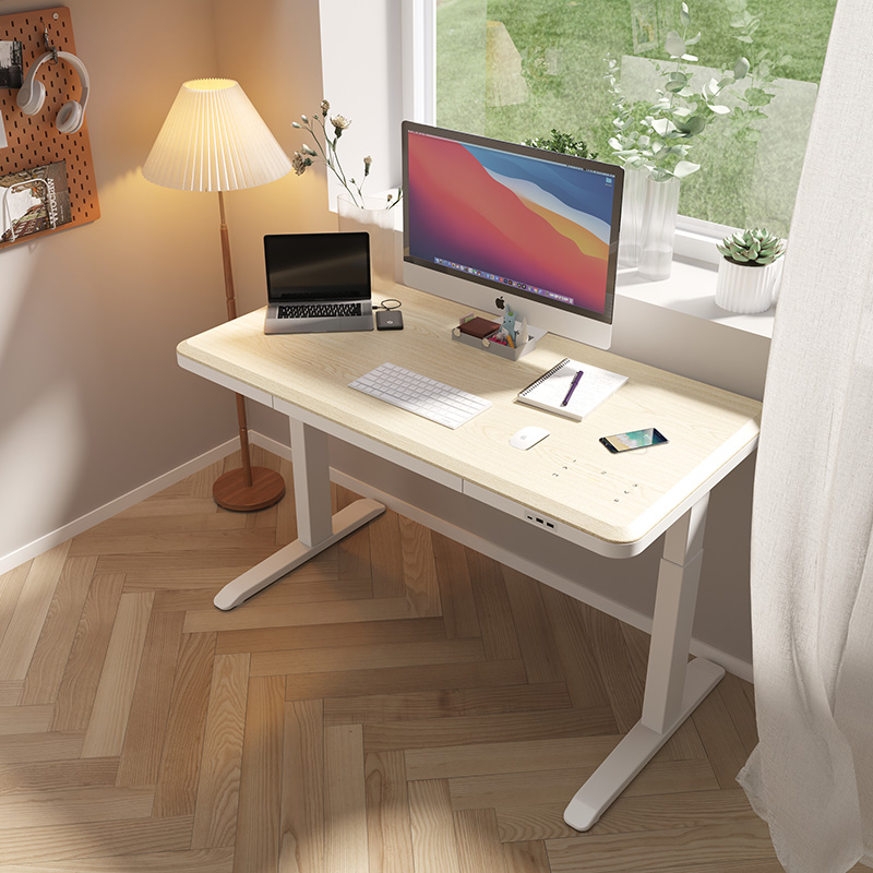 Inicio Adolescentes Automático OEM LiftingElectric Sit Stand Desk