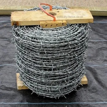 galvanized barbed wire