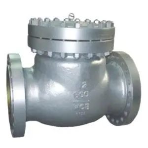 Check valve 12 inch class 600