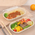 Sugarcane Bagasse Pulp Biodegradable Bowls