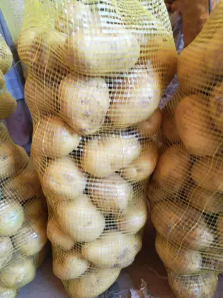 Fresh Holland New Crop Potato