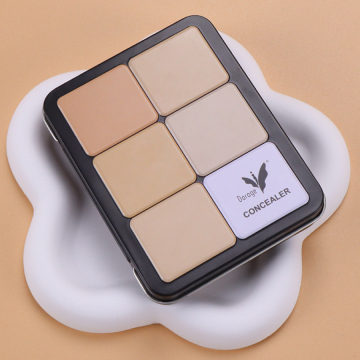 High Pigment Waterproof Matte Concealer Contour Palette